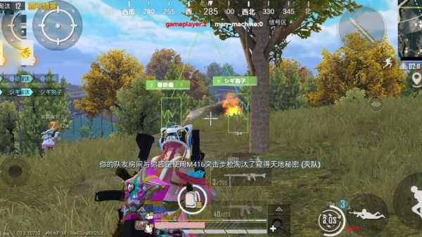 和平精英《火锅》辅助
